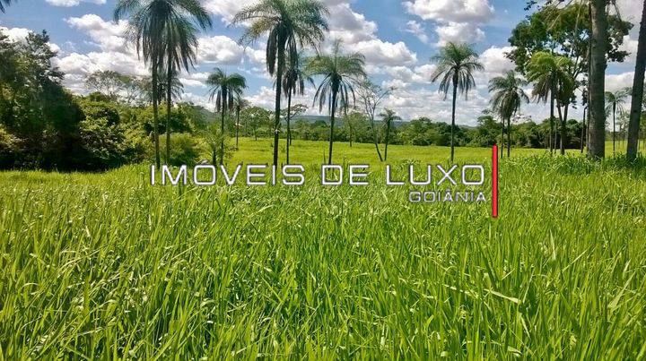 Imóveis de Luxo - Fazenda 36 alqueires, terra de cultura em Formosa GO
