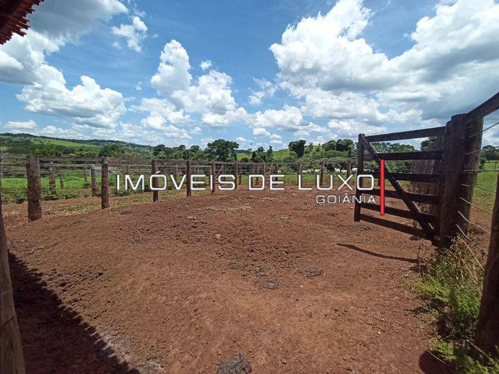 Imóveis de Luxo - Fazenda com 28 alqs em Ouro Verde GO, terra de cultura!!