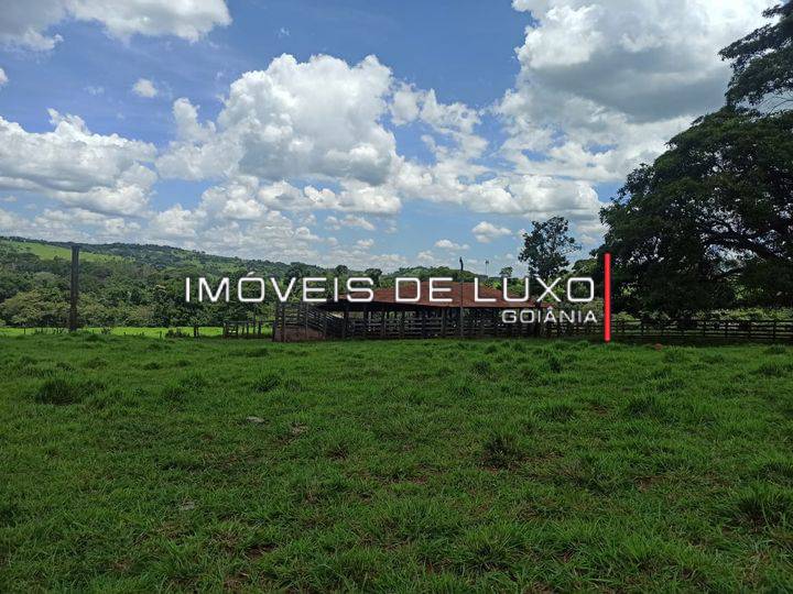 Imóveis de Luxo - Fazenda com 28 alqs em Ouro Verde GO, terra de cultura!!